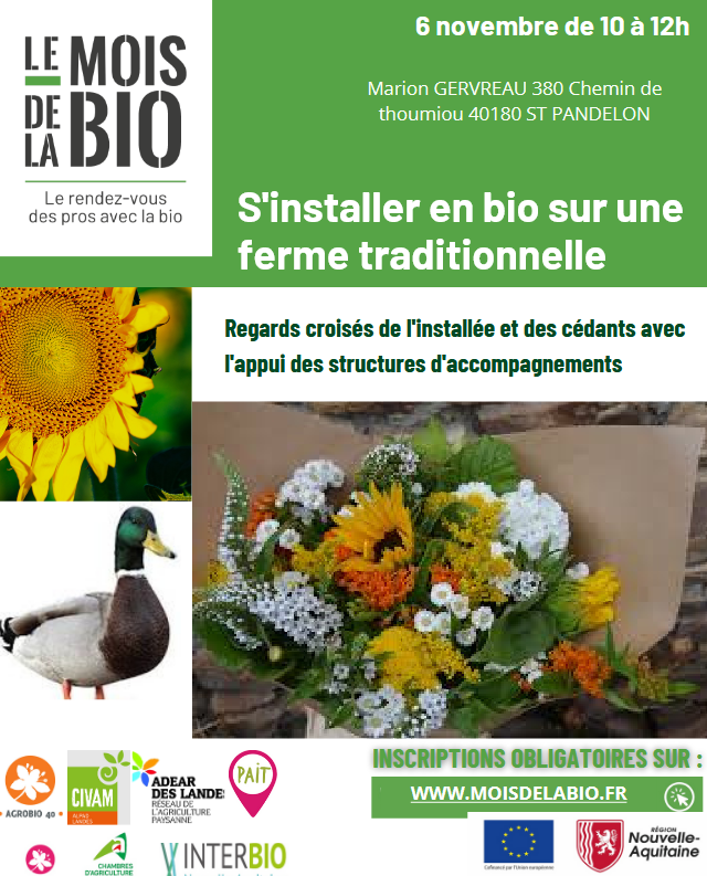IT_bio.png