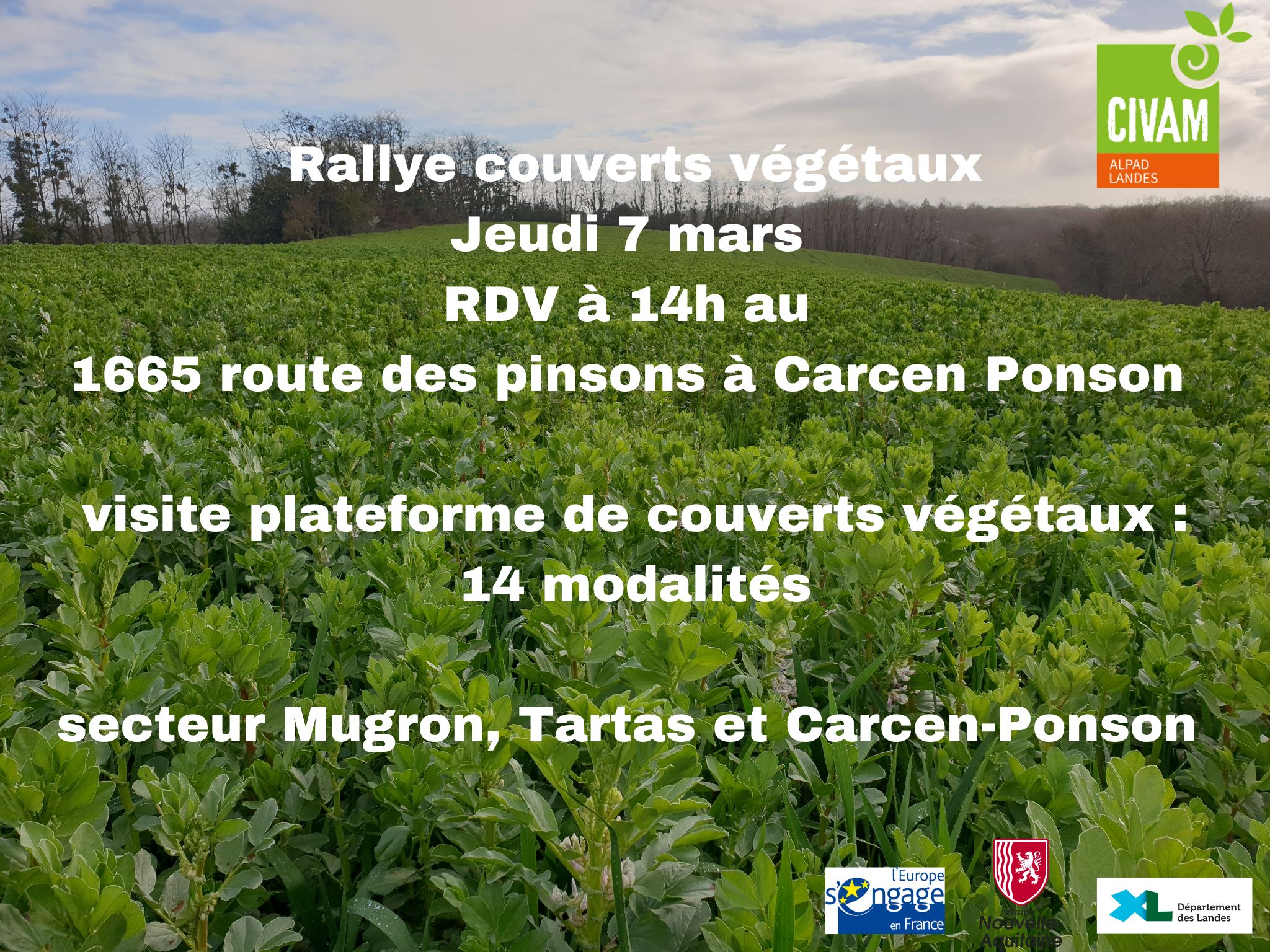 Rallye couvert jeudi 7 mars à partir de 14h pour observer les couverts en place sur Mugron Tartas et Carcen Ponson avec en autre la plateforme de couverts végétauxjpg