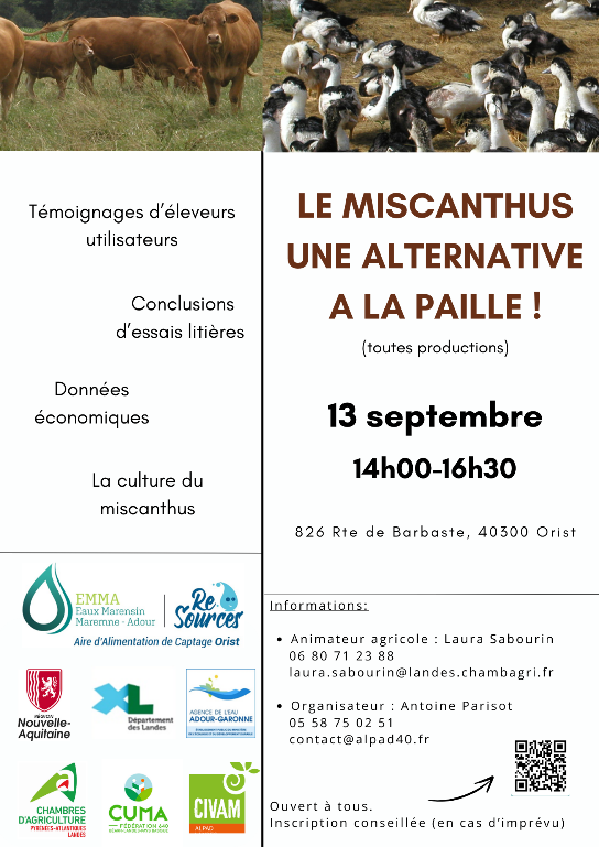 miscanthus alternative paille