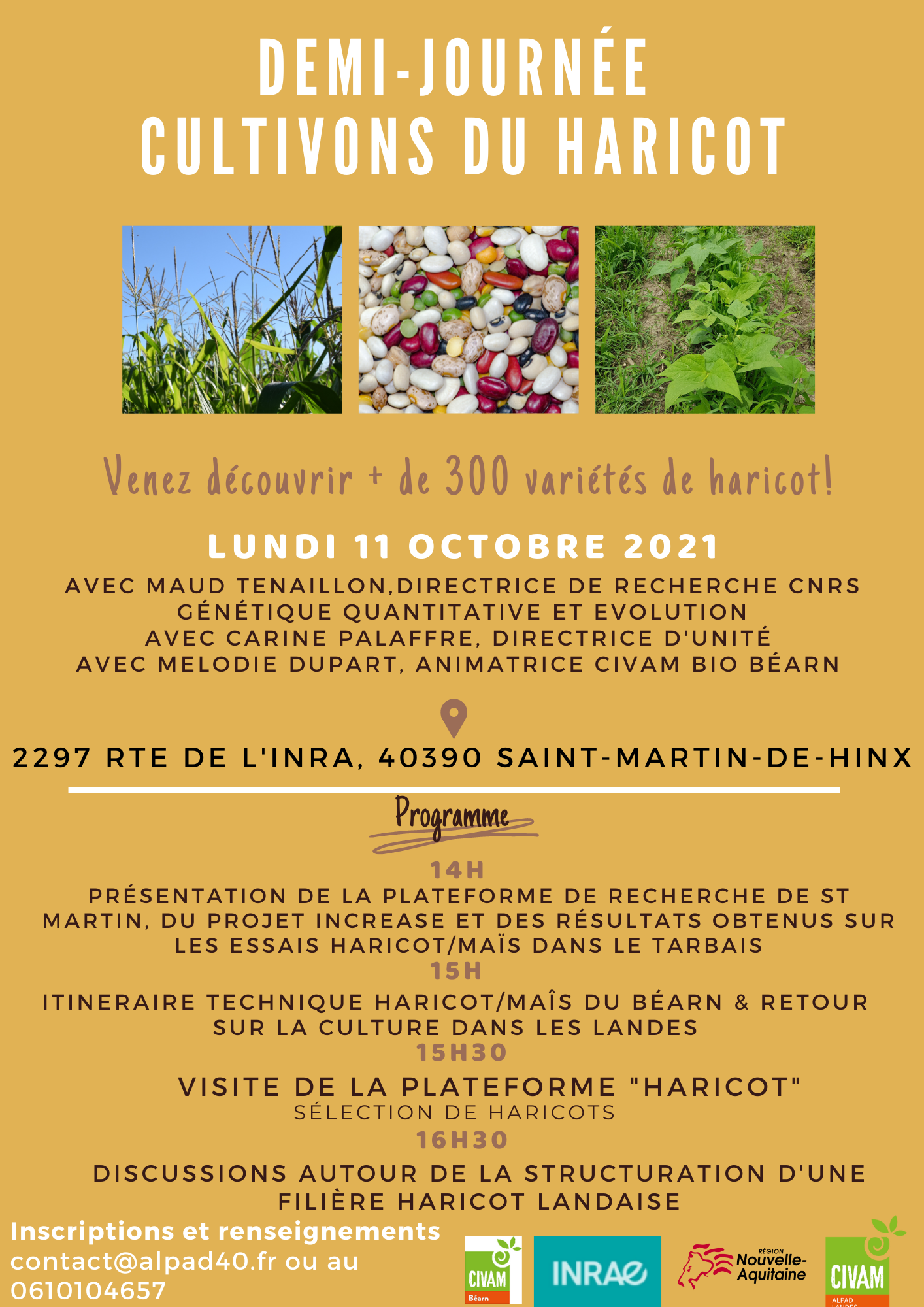 Affiche Demi Journée Haricot