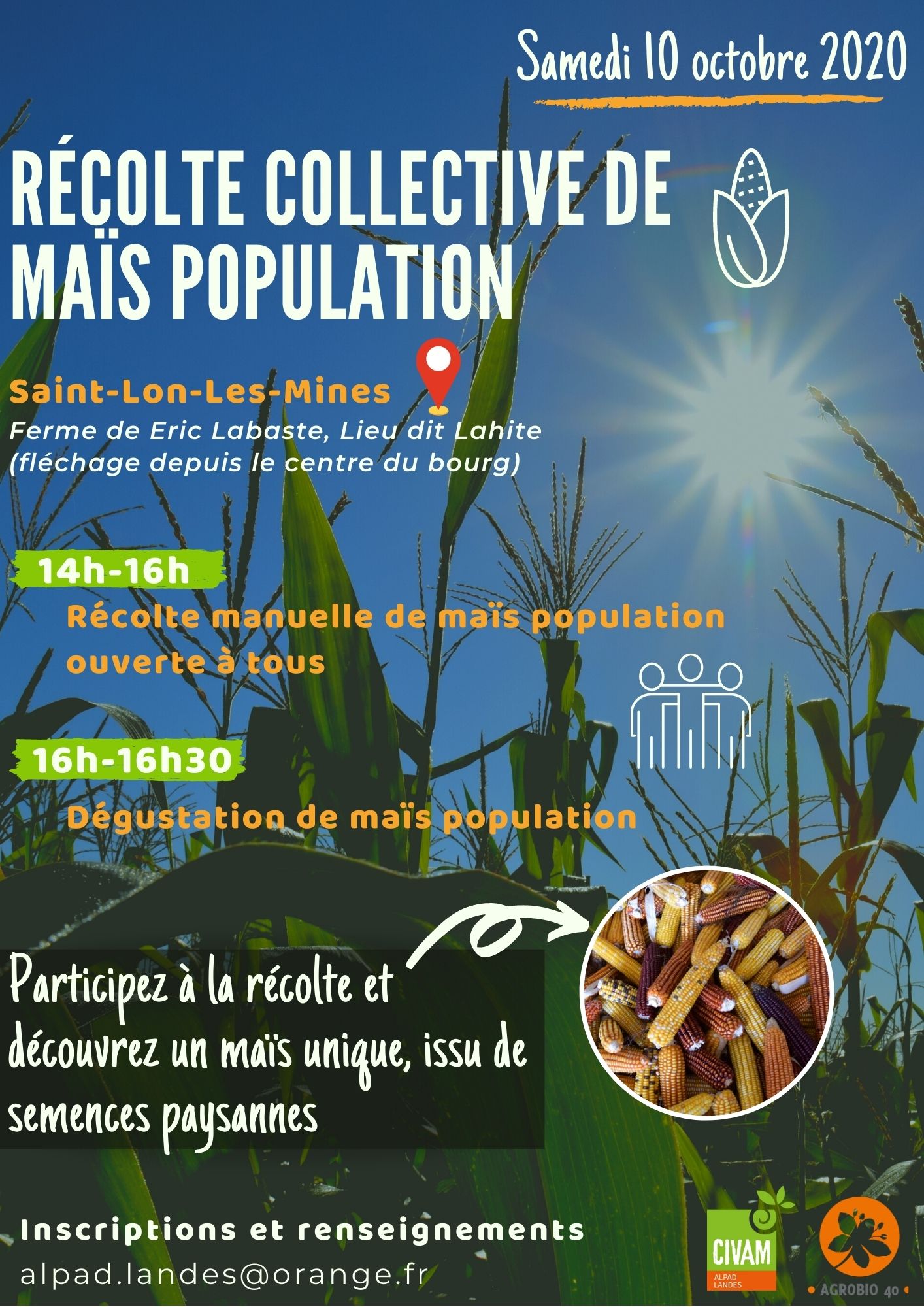Grand public A4 Affiche récolte maïs pop