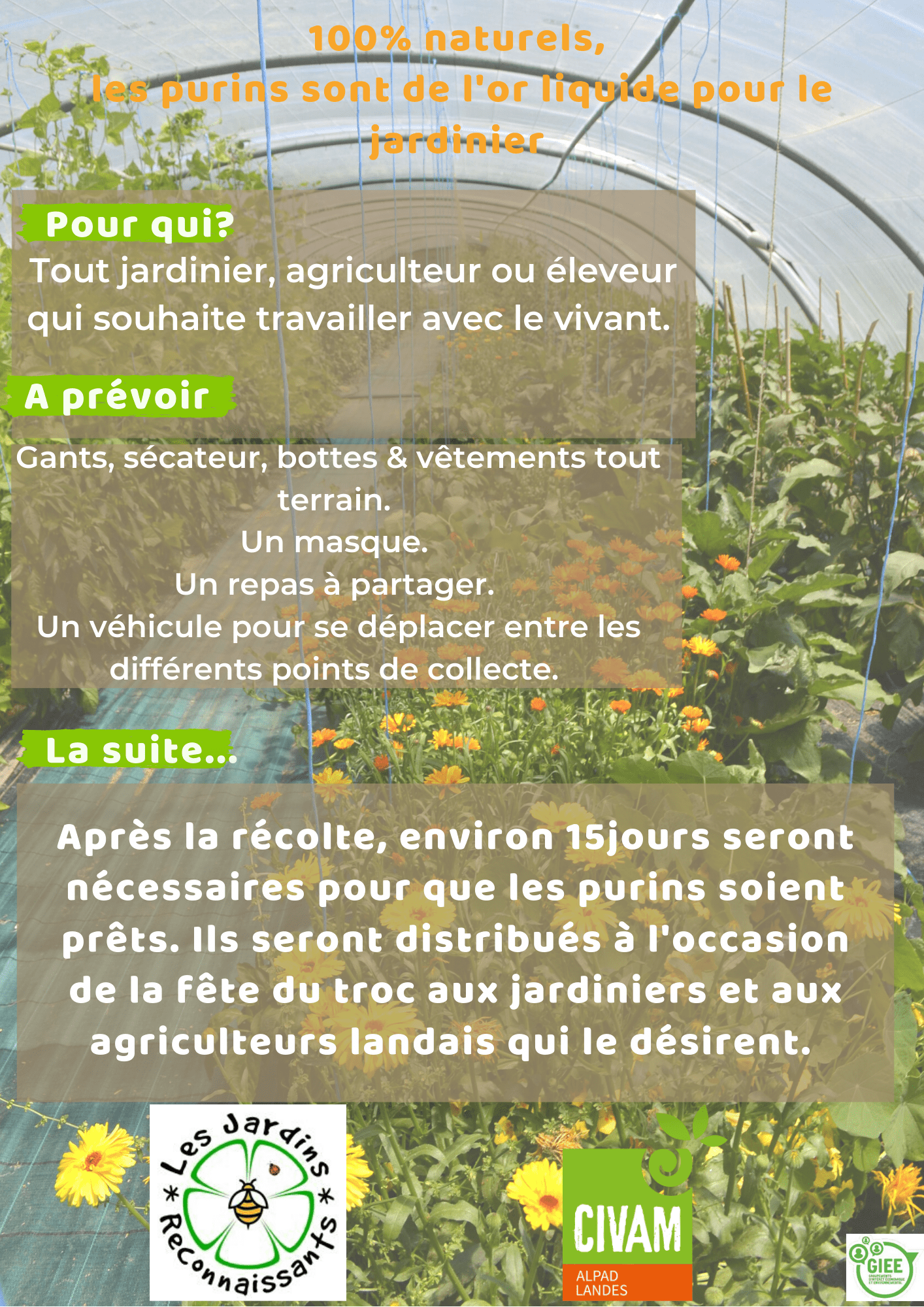 Récolte collective purins 1
