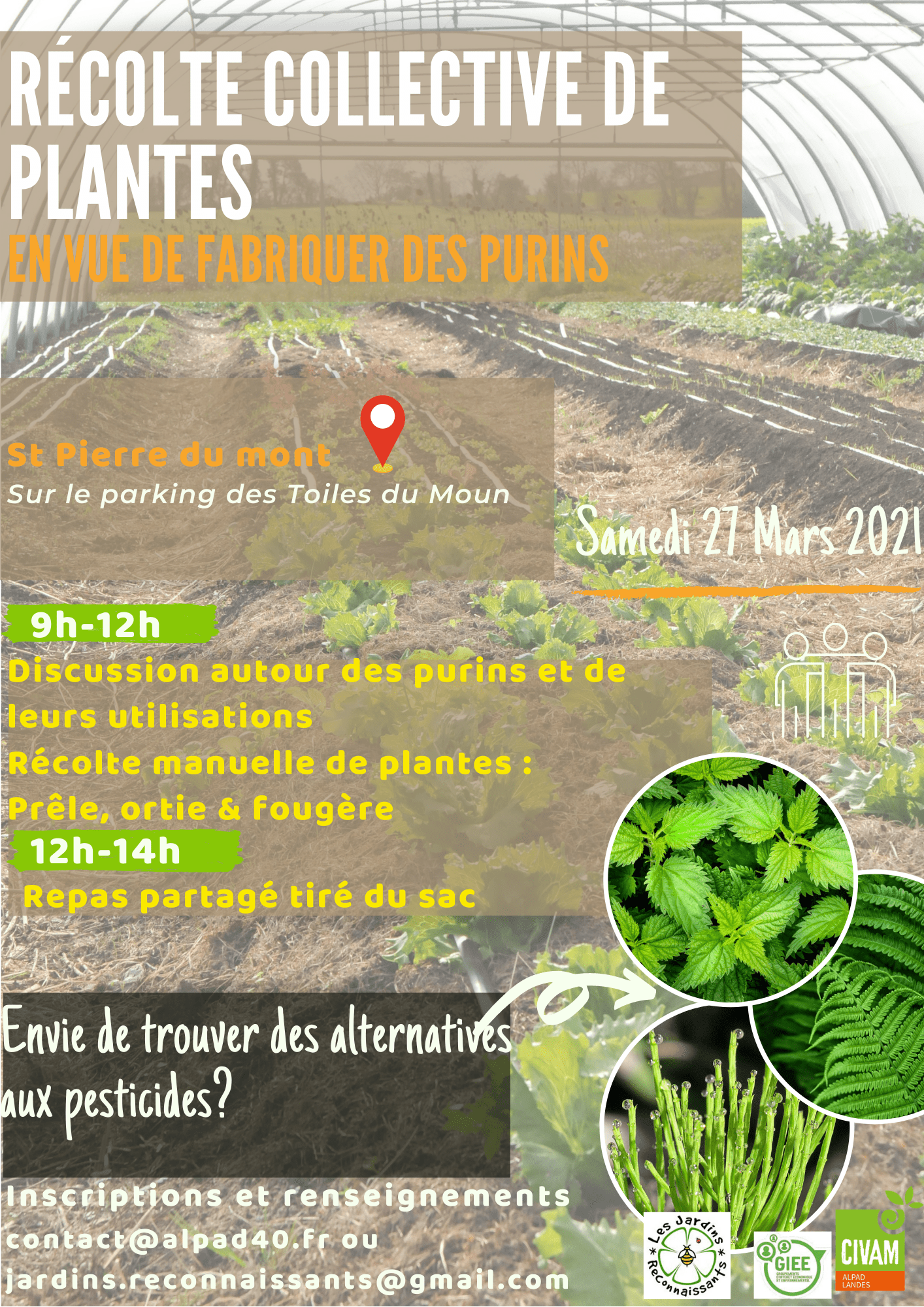Récolte collective purins